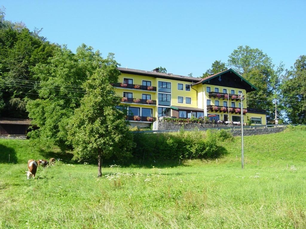 Hotel Zur Schonen Aussicht Übersee Extérieur photo